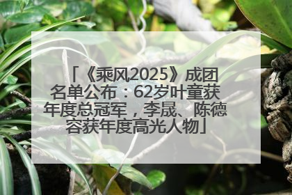《乘风2025》成团名单公布：62岁叶童获年度总冠军，李晟、陈德容获年度高光人物