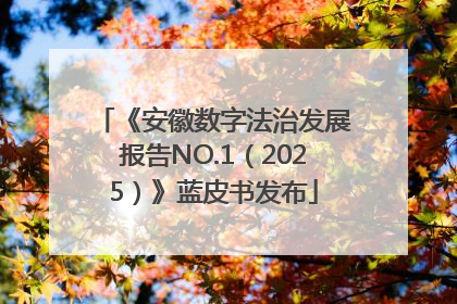 《安徽数字法治发展报告NO.1（2025）》蓝皮书发布