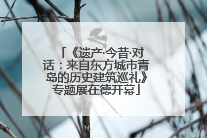 《遗产·今昔·对话：来自东方城市青岛的历史建筑巡礼》专题展在德开幕