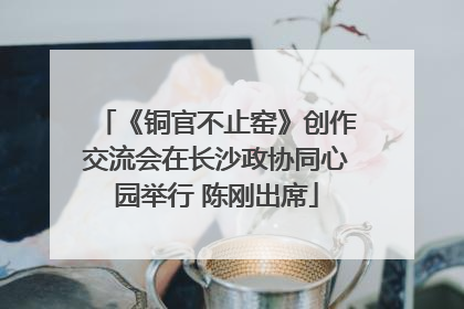《铜官不止窑》创作交流会在长沙政协同心园举行 陈刚出席