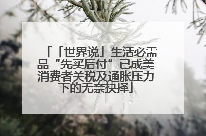 「世界说」生活必需品“先买后付”已成美消费者关税及通胀压力下的无奈抉择