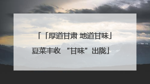 「厚道甘肃 地道甘味」夏菜丰收 “甘味”出陇