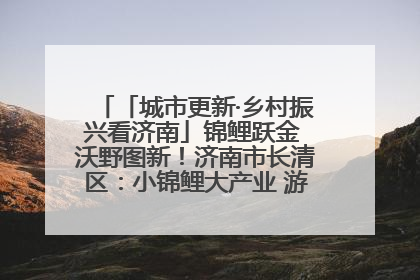 「城市更新·乡村振兴看济南」锦鲤跃金 沃野图新！济南市长清区：小锦鲤大产业 游出农旅新风景