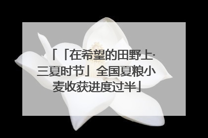 「在希望的田野上·三夏时节」全国夏粮小麦收获进度过半