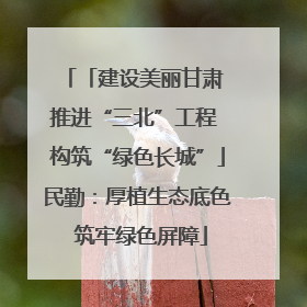 「建设美丽甘肃 推进“三北”工程 构筑“绿色长城”」民勤：厚植生态底色 筑牢绿色屏障