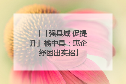 「强县域 促提升」榆中县：惠企纾困出实招