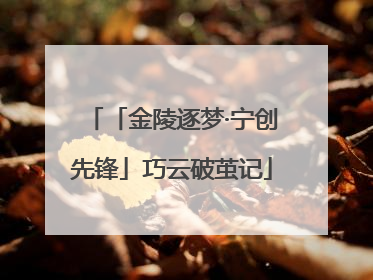 「金陵逐梦·宁创先锋」巧云破茧记