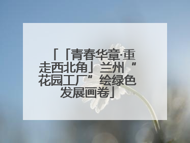 「青春华章·重走西北角」兰州“花园工厂”绘绿色发展画卷