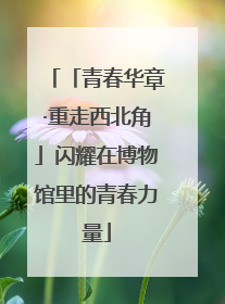 「青春华章·重走西北角」闪耀在博物馆里的青春力量