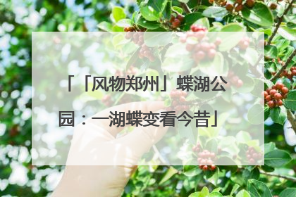 「风物郑州」蝶湖公园：一湖蝶变看今昔