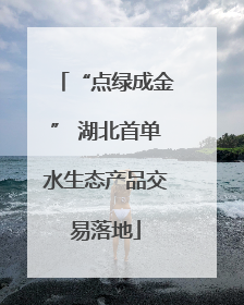 “点绿成金” 湖北首单水生态产品交易落地