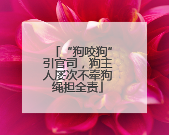 “狗咬狗”引官司，狗主人屡次不牵狗绳担全责