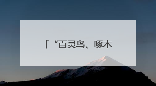 “百灵鸟、啄木鸟、织布鸟”，为仙居县域发展注入“新”动能