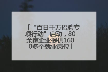 “百日千万招聘专项行动”启动，80余家企业提供1600多个就业岗位