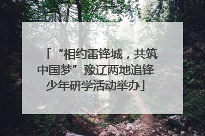 “相约雷锋城，共筑中国梦”豫辽两地追锋少年研学活动举办