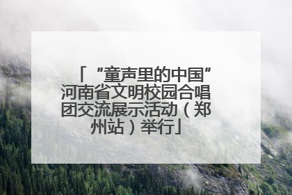 “童声里的中国”河南省文明校园合唱团交流展示活动（郑州站）举行