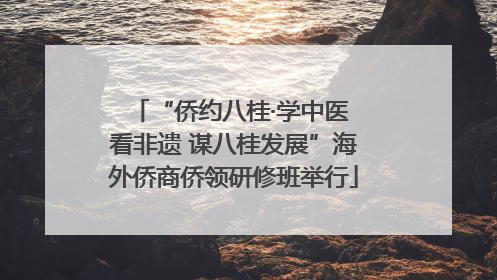 “侨约八桂·学中医 看非遗 谋八桂发展”海外侨商侨领研修班举行
