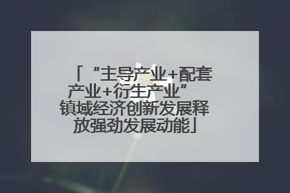 “主导产业+配套产业+衍生产业” 镇域经济创新发展释放强劲发展动能