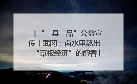 “一县一品”公益宣传丨武冈：卤水里熬出“草根经济”的醇香