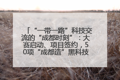 “一带一路”科技交流的“成都时刻”：大赛启动、项目签约，50项“成都造”黑科技吸引多国客商