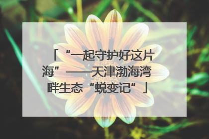 “一起守护好这片海”——天津渤海湾畔生态“蜕变记”