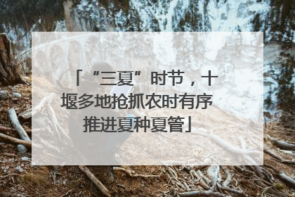 “三夏”时节，十堰多地抢抓农时有序推进夏种夏管