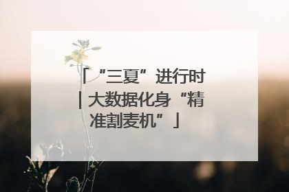 “三夏”进行时｜大数据化身“精准割麦机”