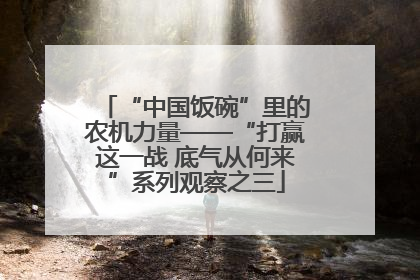 “中国饭碗”里的农机力量——“打赢这一战 底气从何来”系列观察之三