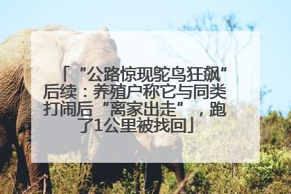 “公路惊现鸵鸟狂飙”后续：养殖户称它与同类打闹后“离家出走”，跑了1公里被找回