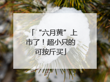 “六月黄”上市了！超小只的可按斤买