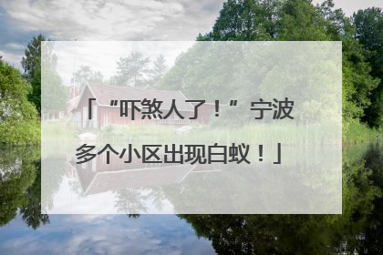 “吓煞人了！”宁波多个小区出现白蚁！