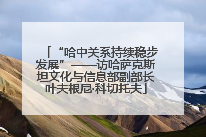 “哈中关系持续稳步发展”——访哈萨克斯坦文化与信息部副部长叶夫根尼·科切托夫