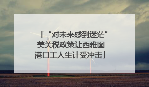 “对未来感到迷茫” 美关税政策让西雅图港口工人生计受冲击