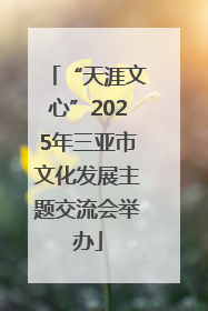 “天涯文心”2025年三亚市文化发展主题交流会举办