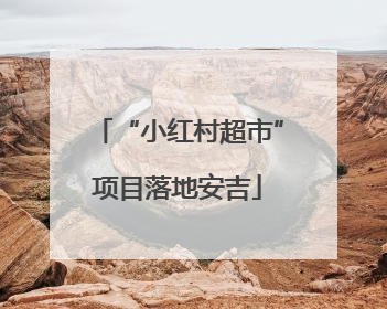 “小红村超市”项目落地安吉