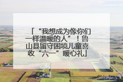 “我想成为像你们一样温暖的人”！鲁山县留守困境儿童喜收“六一”暖心礼