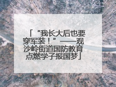 “我长大后也要穿军装！”——观沙岭街道国防教育点燃学子报国梦