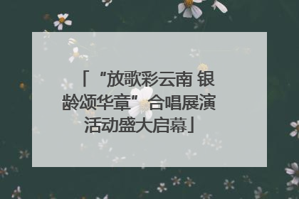 “放歌彩云南 银龄颂华章”合唱展演活动盛大启幕