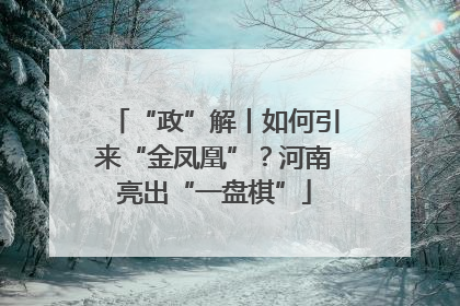“政”解丨如何引来“金凤凰”？河南亮出“一盘棋”
