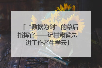 “数据为剑”的幕后指挥官——记甘肃省先进工作者牛学云