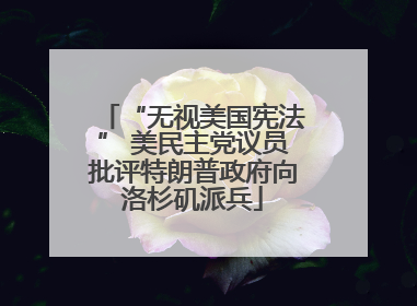 “无视美国宪法” 美民主党议员批评特朗普政府向洛杉矶派兵