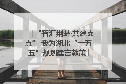 “智汇荆楚·共建支点” 我为湖北“十五五”规划建言献策
