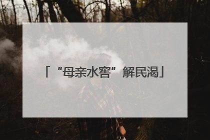 “母亲水窖”解民渴