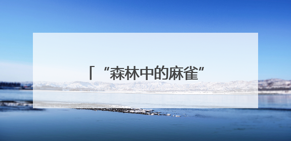 “森林中的麻雀”：从一个社区，看见社会治理的未来