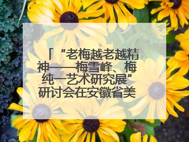 “老梅越老越精神——梅雪峰、梅纯一艺术研究展”研讨会在安徽省美术馆召开
