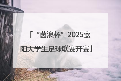 “茵浪杯”2025襄阳大学生足球联赛开赛