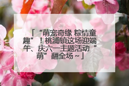 “萌宠奇缘 粽情童趣”！桃浦镇这场迎端午、庆六一主题活动“萌”翻全场～