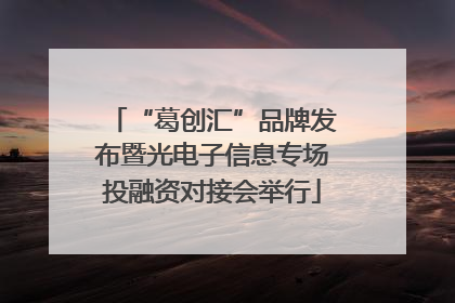“葛创汇”品牌发布暨光电子信息专场投融资对接会举行