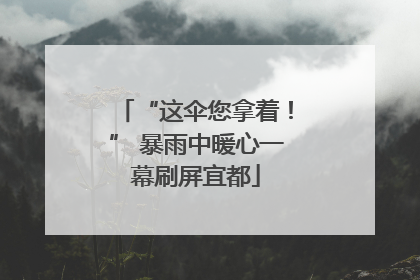 “这伞您拿着！” 暴雨中暖心一幕刷屏宜都