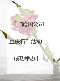 “跨国公司重庆行”活动成功举办
